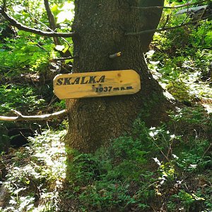 kaltz na vrcholu Skalka (na Pustevnách) (29.7.2021 11:51)