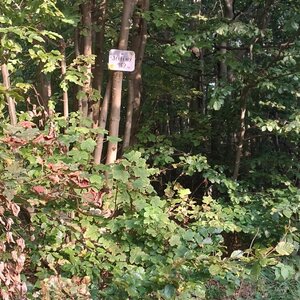 Milda na vrcholu Stolečný vrch (31.8.2024 17:14)