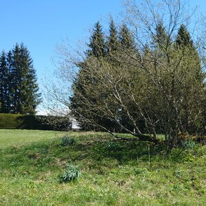 Nojby na vrcholu Nekras V (27.4.2024 12:04)