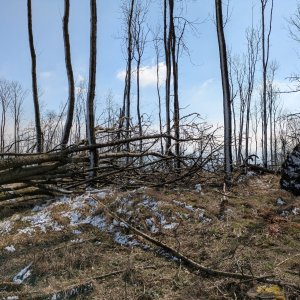 krupjan on the summit of Srnkov Z (16.3.2025 12:34)