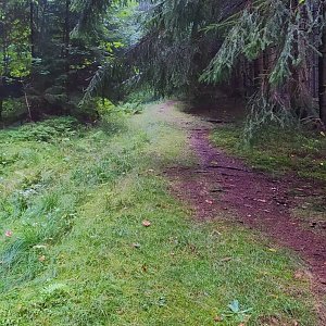 Gregořicovi na vrcholu Kozí hřbety (19.9.2021 11:45)