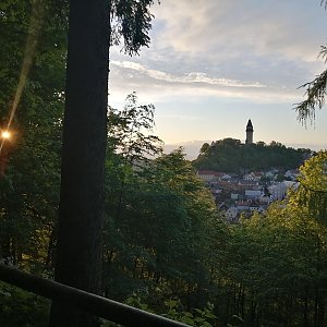 Krvelačné ňuf na vrcholu Kotouč  (27.5.2021 20:14)
