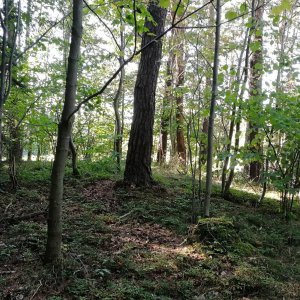 Vladimír Grančay na vrcholu Studená (4.10.2023 15:02)