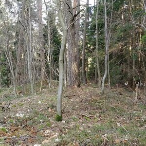 Vladimír Grančay na vrcholu Studená (27.12.2023 12:51)