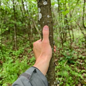Jiří Králík na vrcholu Neselov (18.5.2025 13:51)