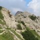 Divočák na vrcholu Cima Valdritta / Monte Baldo