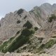 Divočák na vrcholu Cima Valdritta / Monte Baldo