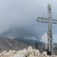 Divočák na vrcholu Cima Valdritta / Monte Baldo