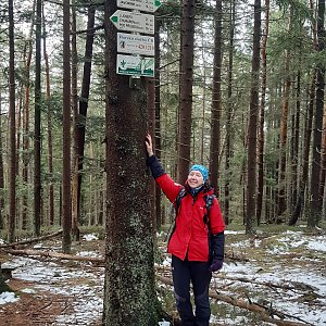 Šumava - Popelná hora