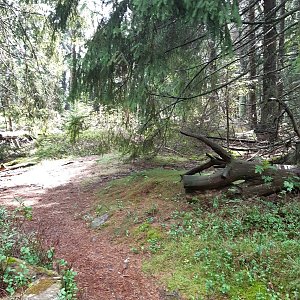 Marcela na vrcholu Popelná hora (21.8.2022 12:30)
