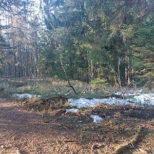 Cyklista 73 na vrcholu Popelná hora (21.4.2023 17:53)