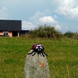 Jiřina on the summit of Haluzice (19.8.2023 15:55)