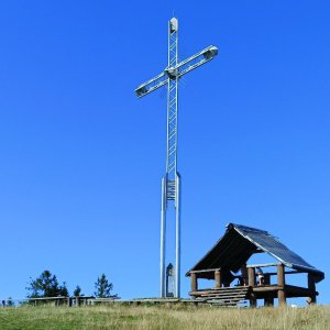 buko1 na vrcholu Bendoszka Wielka  (10.9.2023 14:41)