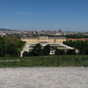 Nikola na vrcholu Schönbrunner Berg (30.4.2026 0:00)
