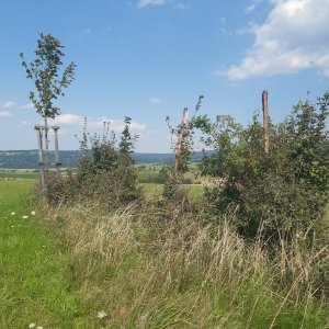 ZdenkaV on the summit of Dlouhé (10.8.2025 15:26)