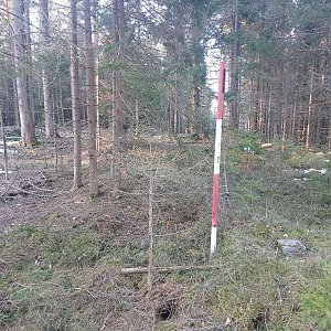 Cyklista 73 na vrcholu Popelná hora - J vrchol (21.4.2023 18:57)