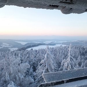 Dolfa na vrcholu Čáp (2.12.2020 18:35)