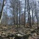 Fin on peak Veřejová skála (22.3.2025)
