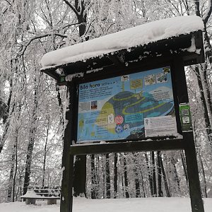 Baajaa na vrcholu Bílá hora (14.2.2021 9:24)