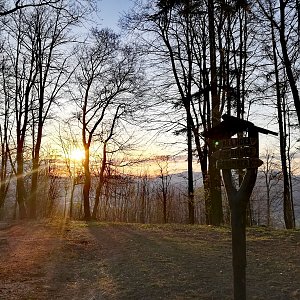 Baajaa na vrcholu Bílá hora (26.4.2021 6:05)