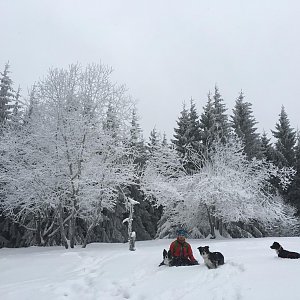 Jan Janiš na vrcholu Javorový vrch (24.2.2018 11:15)
