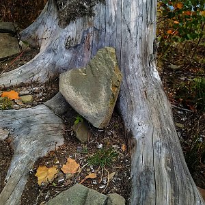 Majky na vrcholu Javorový vrch (15.10.2022 20:36)