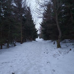 Nýdecká horalka na vrcholu Javorový vrch (18.1.2020)