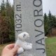 Mykas na vrcholu Javorový vrch