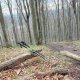 Mykas na vrcholu Javorový vrch
