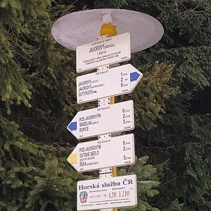 Petr Berbalk na vrcholu Javorový vrch (2.1.2021 15:00)