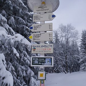 Kolejowy Ciul na vrcholu Javorový vrch (15.1.2021 12:05)