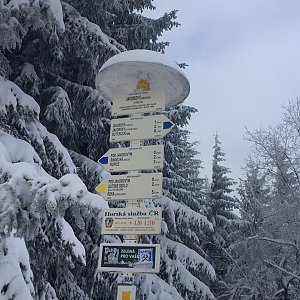 Lucinndda Martasek na vrcholu Javorový vrch (15.1.2021 12:10)