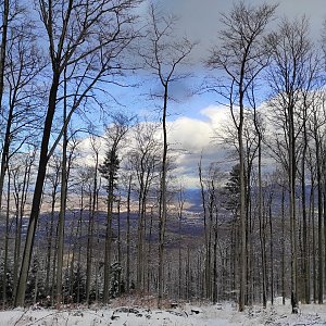 coccobello na vrcholu Javorový vrch (24.1.2021 15:00)