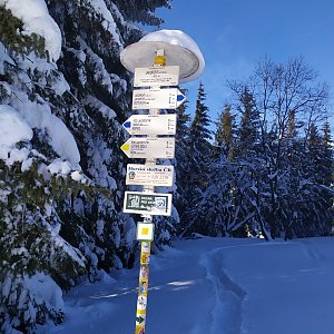 Josef Hájek na vrcholu Javorový vrch (20.1.2021 12:30)