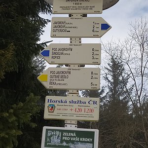 Lucca na vrcholu Javorový vrch (5.2.2021 18:35)