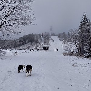 Kerez Králová na vrcholu Javorový vrch (28.2.2021 14:22)