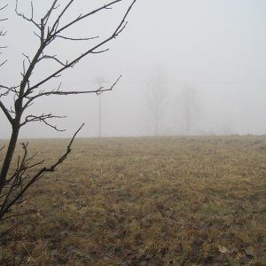 ZdenkaV on the summit of Michalov (7.2.2026 11:59)