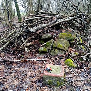 Jiřina na vrcholu Na kolébce (8.4.2023 17:28)
