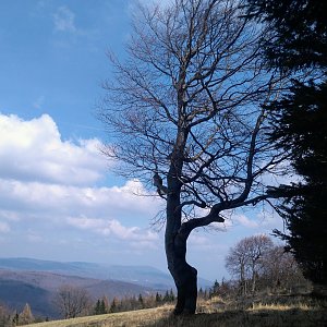 Tor on the summit of Čihadlo (10.4.2023 13:30)