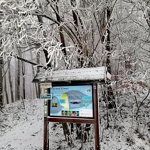 Baajaa na vrcholu Červený kámen V1 (6.2.2021 10:09)