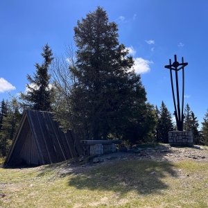 Betička on the summit of Črni vrh (17.5.2026 10:14)
