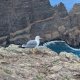 Michal Hájek on peak Ponta de São Lourenço (6.11.2025)