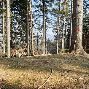 Petr Pepe Peloušek na vrcholu Na Stašku (26.3.2022 14:29)