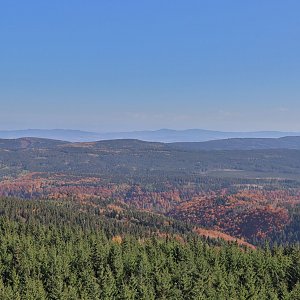 Manjula na vrcholu Vrchmezí (12.10.2022 11:34)