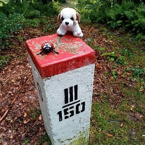 Jiřina na vrcholu Svitková (10.9.2022 17:19)