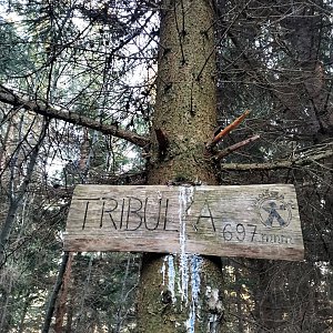 Šárka na vrcholu Tribulka (21.4.2023 18:29)