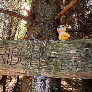 Jiřka Niedobová on the summit of Tribulka (20.9.2025 11:45)