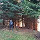 Šárka na vrcholu Tribulka (15.11.2020 12:50)