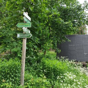 Vratislav Sejkora na vrcholu Buchberg (5.6.2025 16:11)