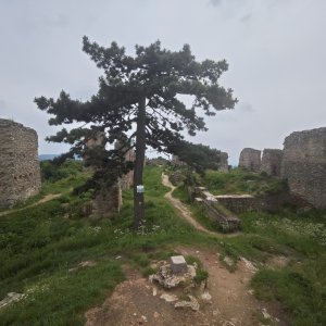 michalzhor on the summit of Starojický kopec (1.6.2026 15:43)